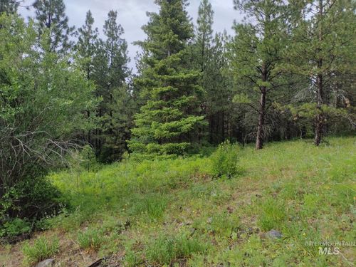 NNA Jack Pine Rd, Cottonwood, ID, 83522 | Card Image