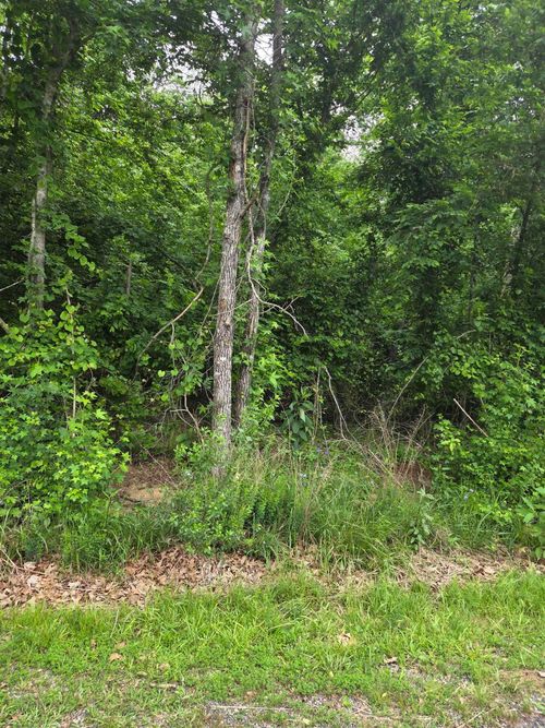 2764 Lost Lake Dr, Hot Springs National Park, AR, 71913 | Card Image
