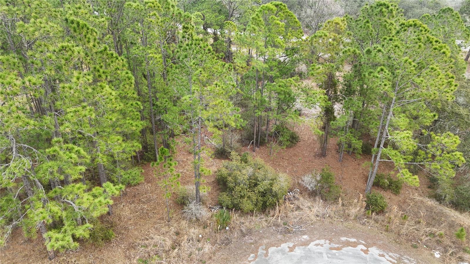 Land in KISSIMMEE 5