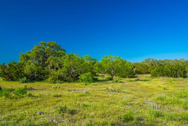 000 S Laird Rd, Home with 0 bedrooms, 0 bathrooms and null parking in Harper TX | Image 7