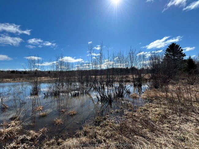 2904 Memorial Park Dr, Home with 0 bedrooms, 0 bathrooms and null parking in Powassan ON | Image 16