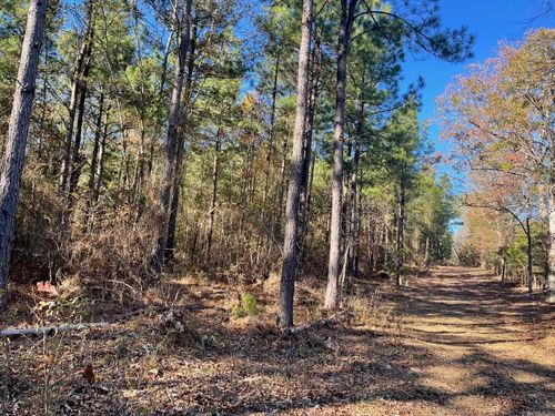 TBD Polk Road 31, Cove, AR, 71953 | Card Image