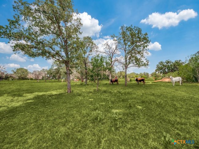 12505 W Fm 476, Home with 0 bedrooms, 1 bathrooms and null parking in Somerset TX | Image 11