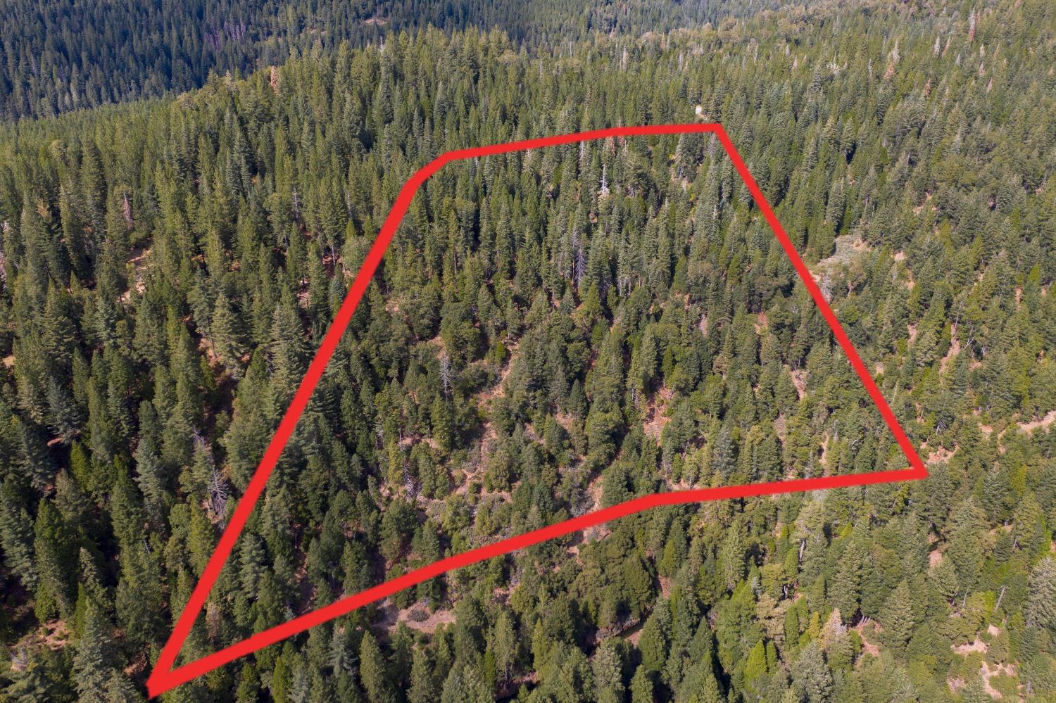 Land in Nevada City 2