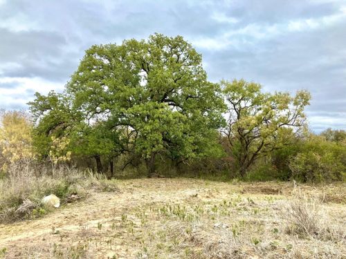 TBD Lot 10 Fm 880, Moran, TX, 76464 | Card Image