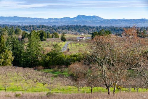 459 Gold Ridge Rd, Sebastopol, CA, 95472-3927 | Card Image