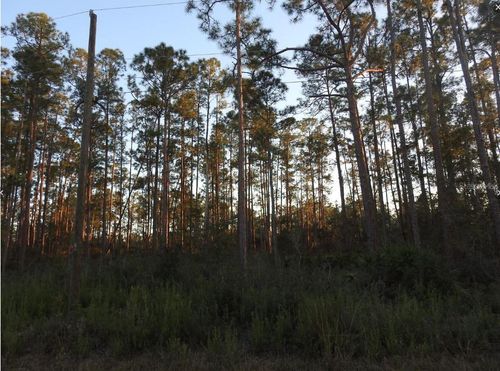 320 Gaillardia Dr, Indian Lake Estates, FL, 33855 | Card Image