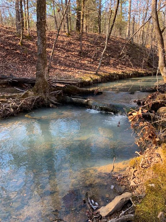 Land in Broken Bow 4