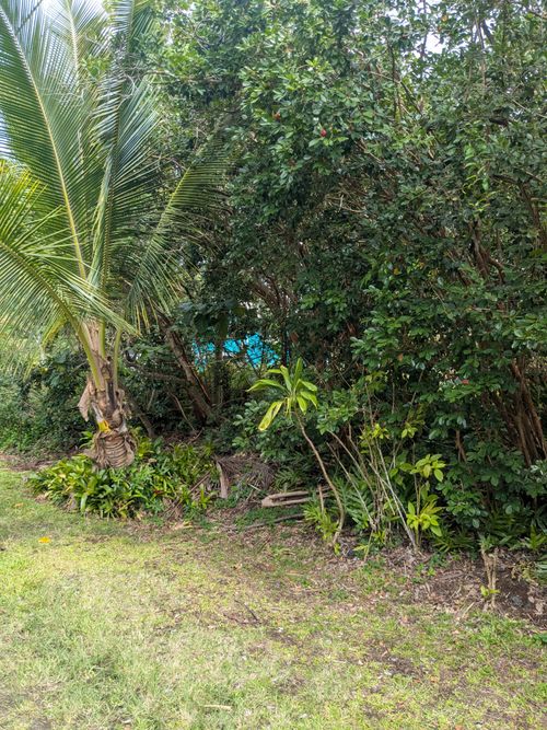 12-262 E Pohakupele Loop, PAHOA, HI, 96778-7849 | Card Image