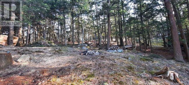397 Healey Lake Water, House other with 3 bedrooms, 1 bathrooms and null parking in The Archipelago ON | Image 8