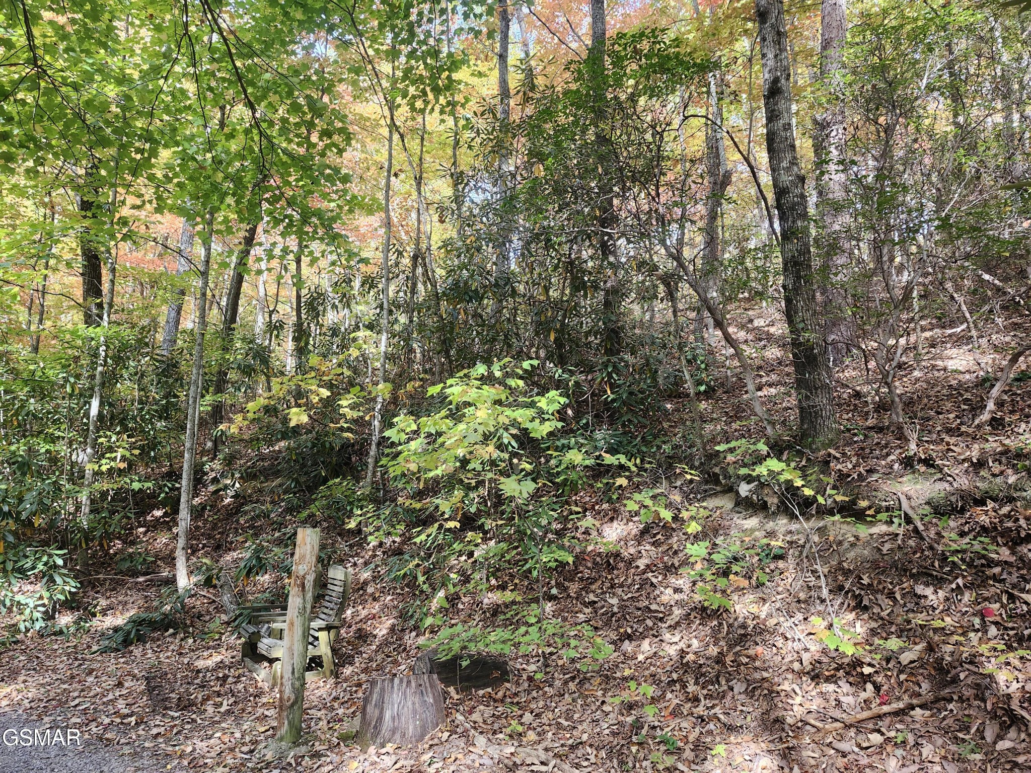 Land in Sevierville 4