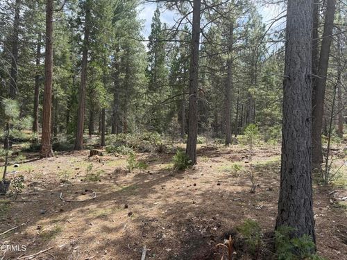 16 Chad Ct, Burney, CA, 96013 | Card Image