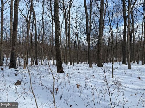 Lot 6 Pauls Woods Rd, DELRAY, WV, 26714 | Card Image