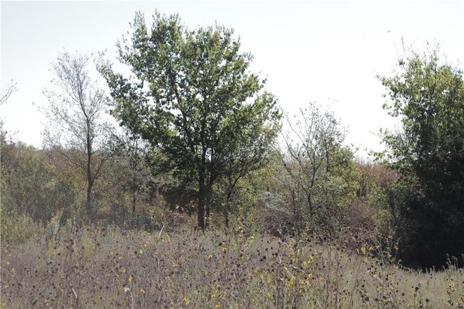 000 125 Th St, Home with 0 bedrooms, 0 bathrooms and null parking in Redfield KS | Image 37