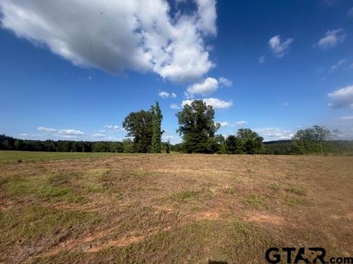 TBD Lot 5 Falcon View, Diana, TX, 75640 | Card Image