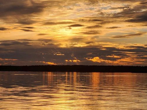 {{alt}} | Card Image