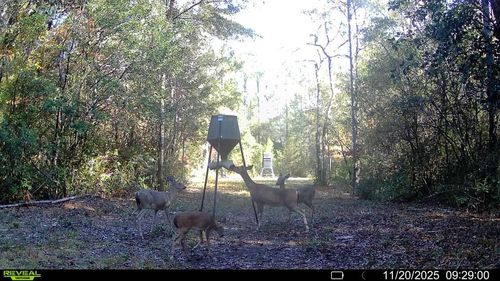 Parcel A&B Sunburst Dr S, Crestview, FL, 32539 | Card Image