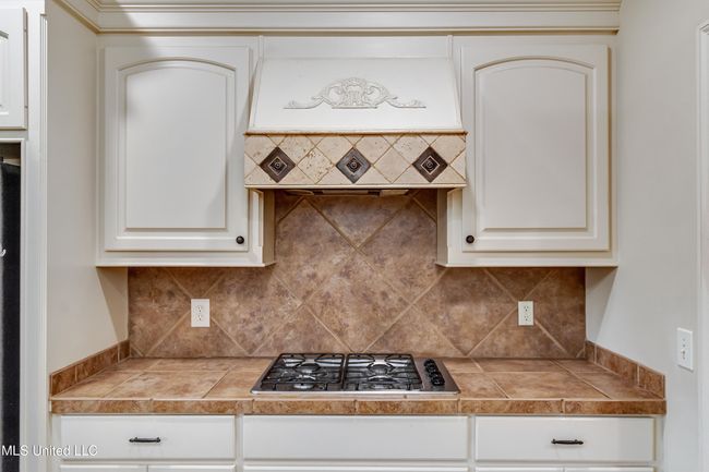 537 Turtle Ln-34 | Image 21
