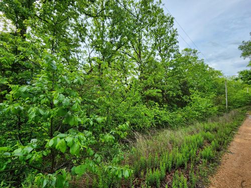 Tract 4 Easy St, Pittsburg, MO, 65724 | Card Image