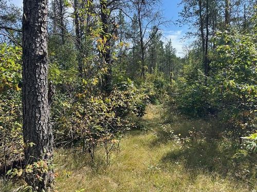 36.34 Ac Retirement Lane, Necedah, WI, 54646 | Card Image
