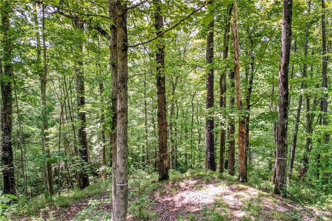 533 Shooting Tree Way, Home with 0 bedrooms, 0 bathrooms and null parking in Salem SC | Image 13