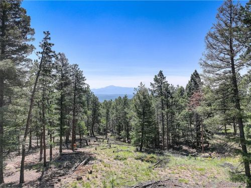 1002 Indian Creek Rd, Florissant, CO, 80816 | Card Image