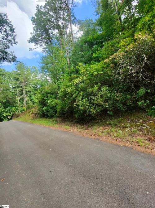 00 Silver Shoals Circle, Marietta, SC, 29661 | Card Image