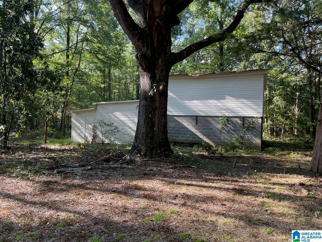 6358 State Highway 129, House other with 3 bedrooms, 1 bathrooms and null parking in Winfield AL | Image 13