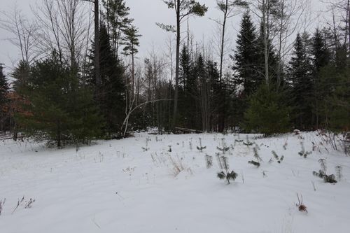 1201301 Bert Berry Road Road, Embden, ME, 04958 | Card Image