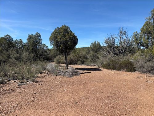 245 E Badger Ridge Rd, Kingman, AZ, 86401 | Card Image