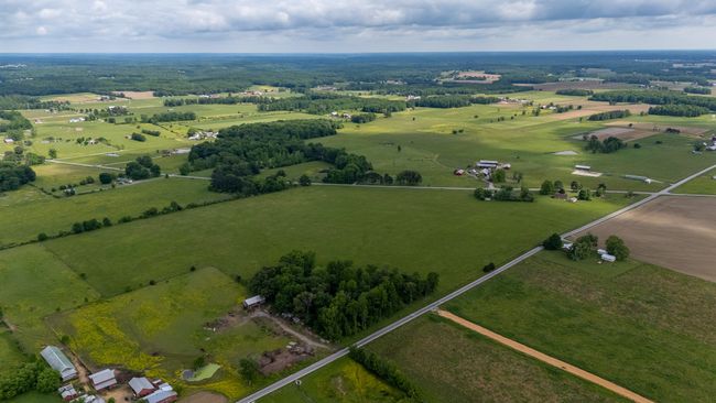 187 Campbellsville Pike, Home with 0 bedrooms, 0 bathrooms and null parking in Ethridge TN | Image 11