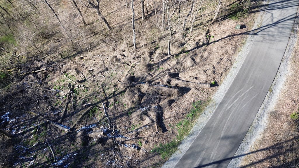 Land in Smithville 3