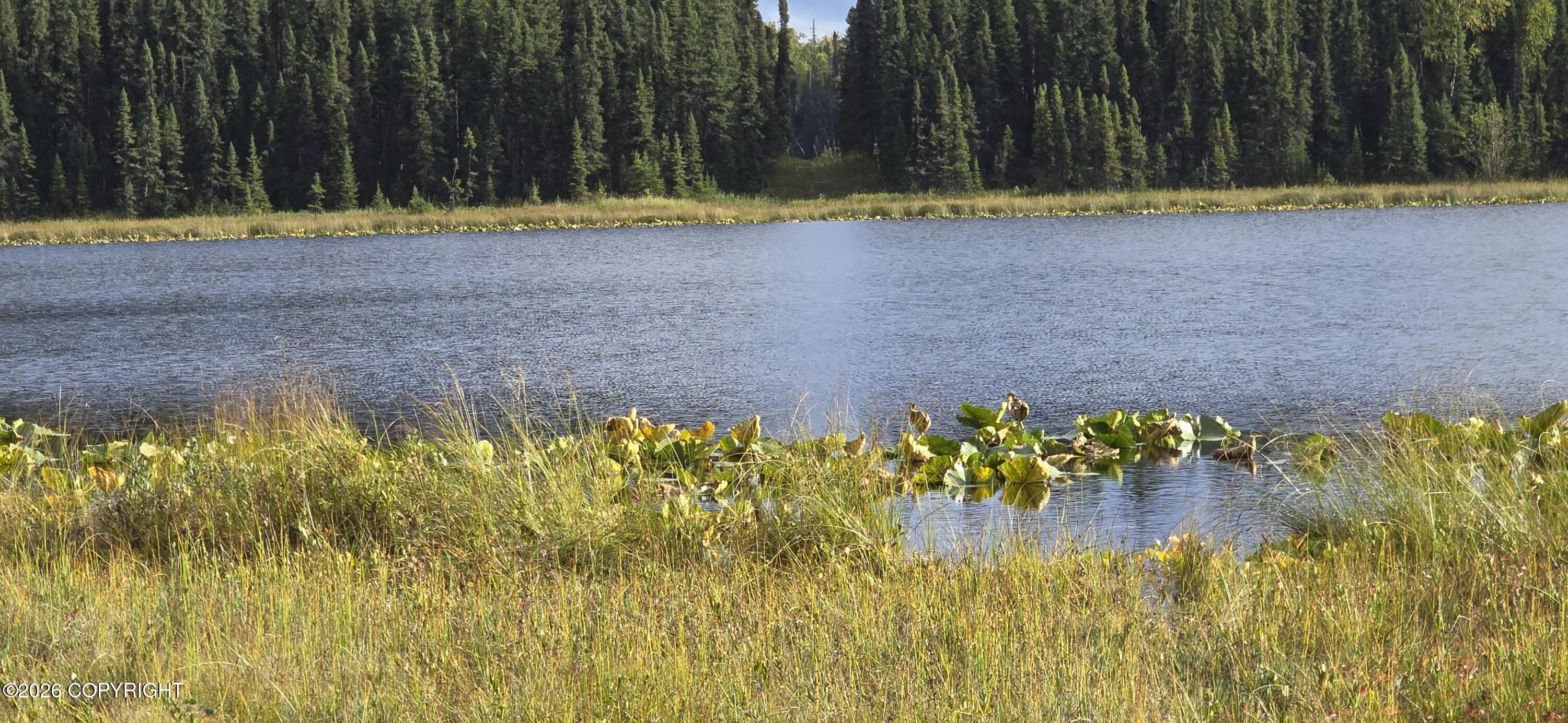 Land in Big Lake 4