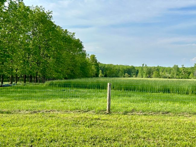 7160 Beecher Rd, House other with 3 bedrooms, 1 bathrooms and null parking in Osseo MI | Image 20