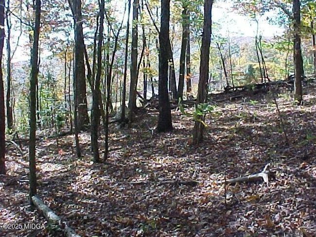 9 | Image 9
