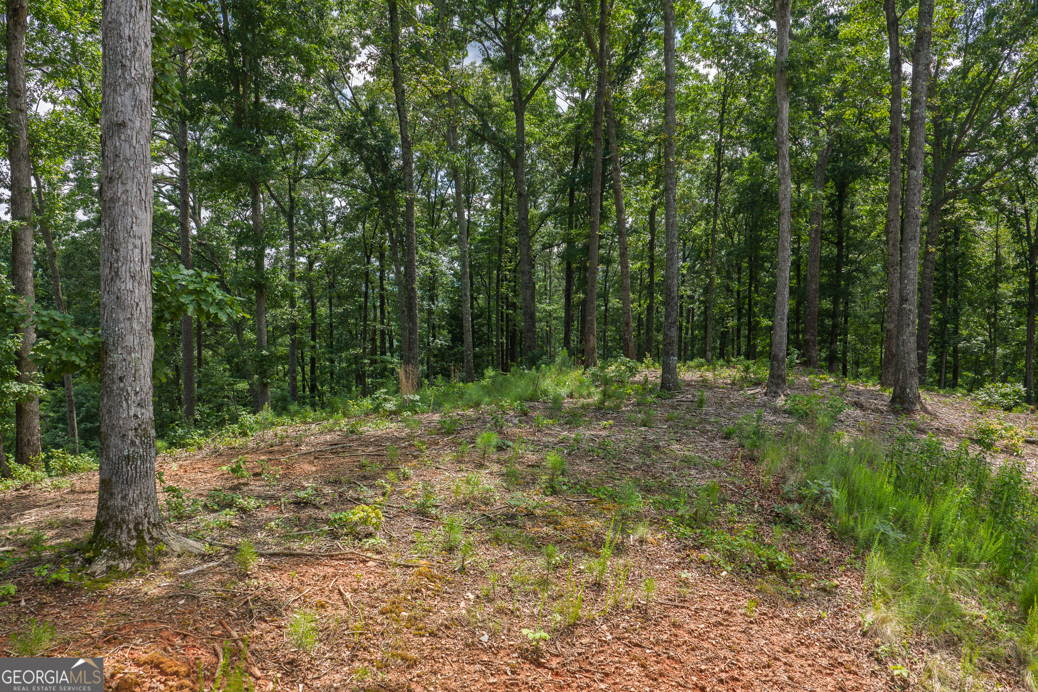 Land in Talking Rock 5