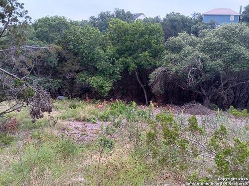 421 Lexington Pass, Canyon Lake, TX, 78133-4949 | Card Image