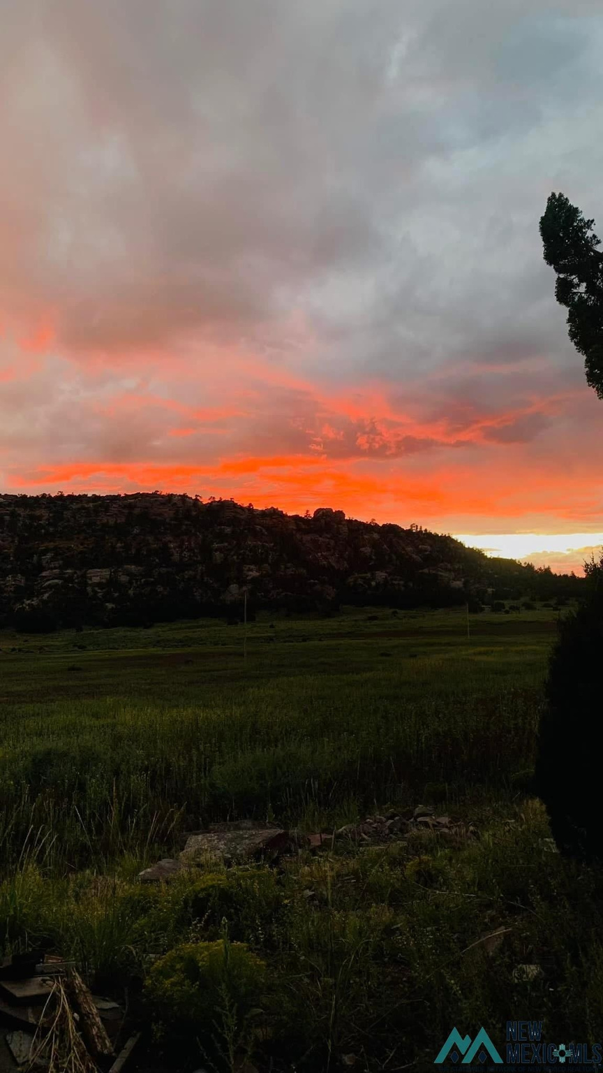 Land in Ramah 5