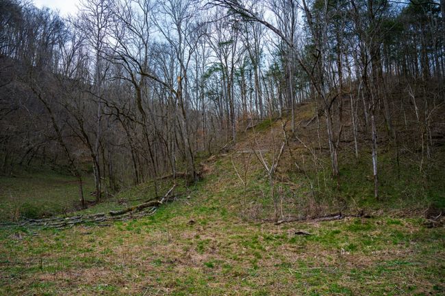 1438 Wartrace Rd, Home with 0 bedrooms, 0 bathrooms and null parking in Red Boiling Springs TN | Image 11