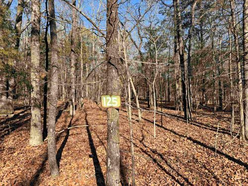 Lot 125 Tannenbaum Rd., Drasco, AR, 72530 | Card Image