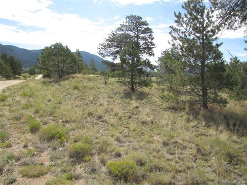 11744 Jackson Rd, LAKE GEORGE, CO, 80827 | Card Image