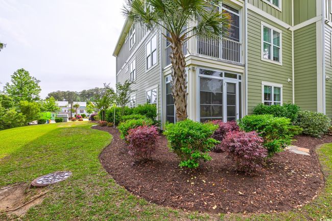 View of yard | Image 33
