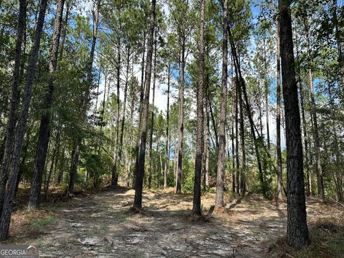 0 Old Carter Rd, East Dublin, GA, 31027 | Card Image