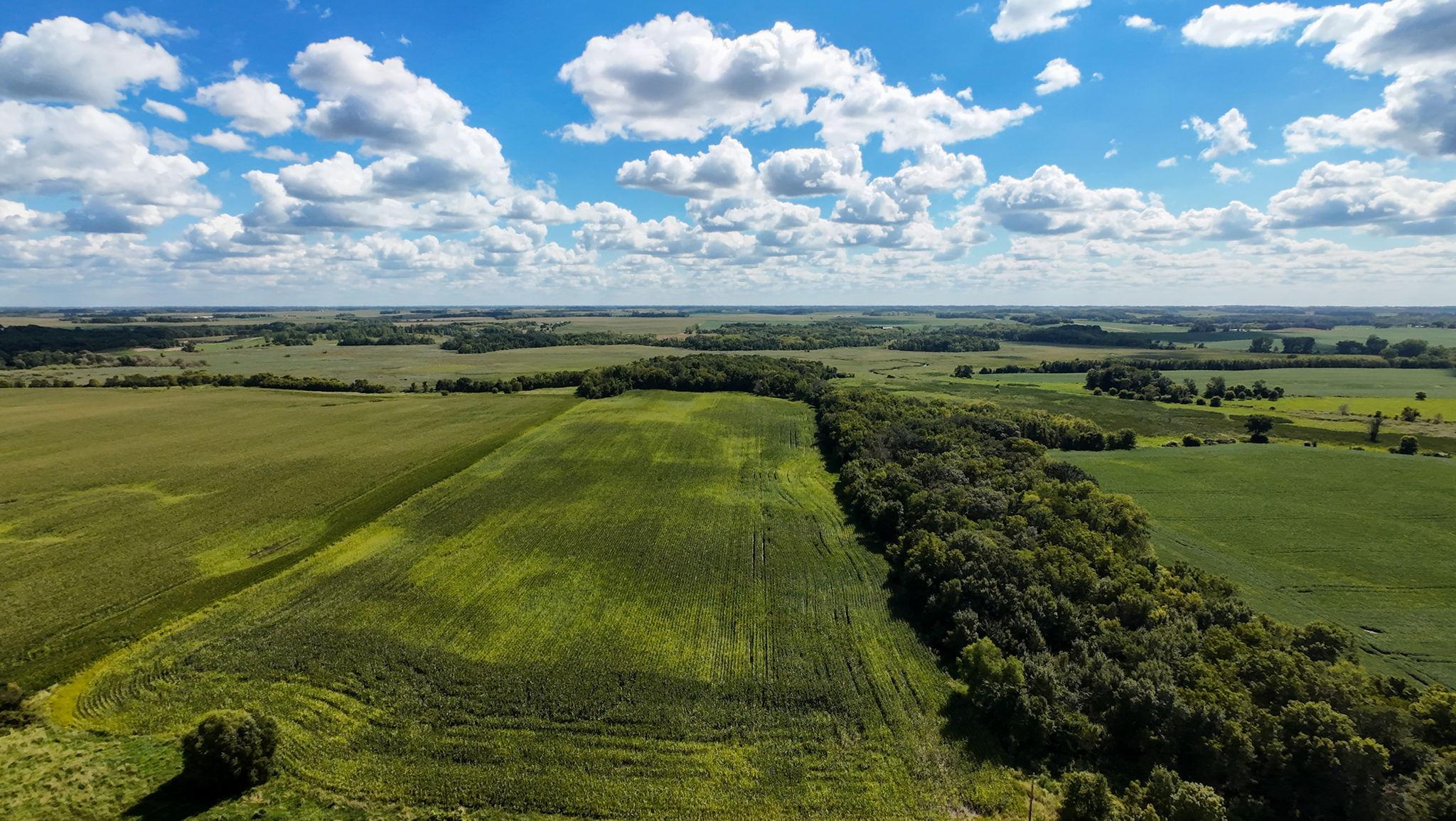 Land in Morristown 2