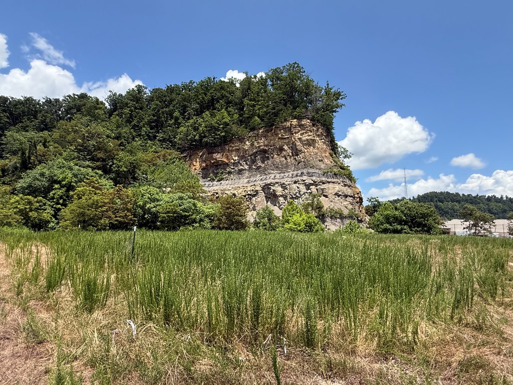 Land in Hazard 4