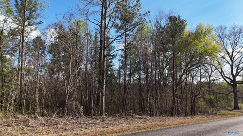 05 County Road 14, Muscadine, AL, 36269-3827 | Card Image