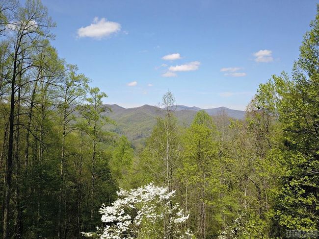 528 Early Deitz Rd, Home with 0 bedrooms, 0 bathrooms and null parking in Sylva NC | Image 9