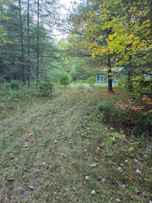 1058 Red Brook Rd, Groton, VT, 05046-3367 | Card Image