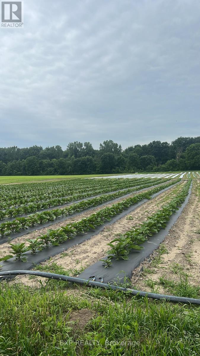 Land in Southwest Middlesex 3