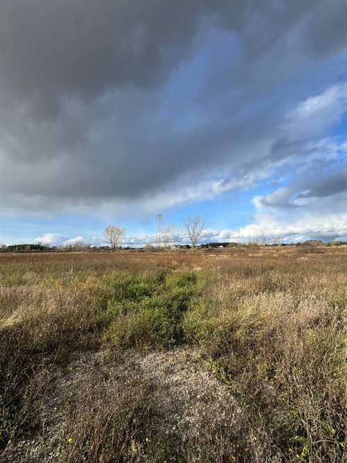 00 Weber Rd, Columbus, MI, 48063 | Card Image